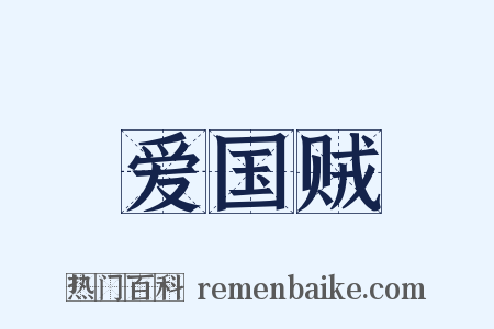 爱国贼是什么意思的图片